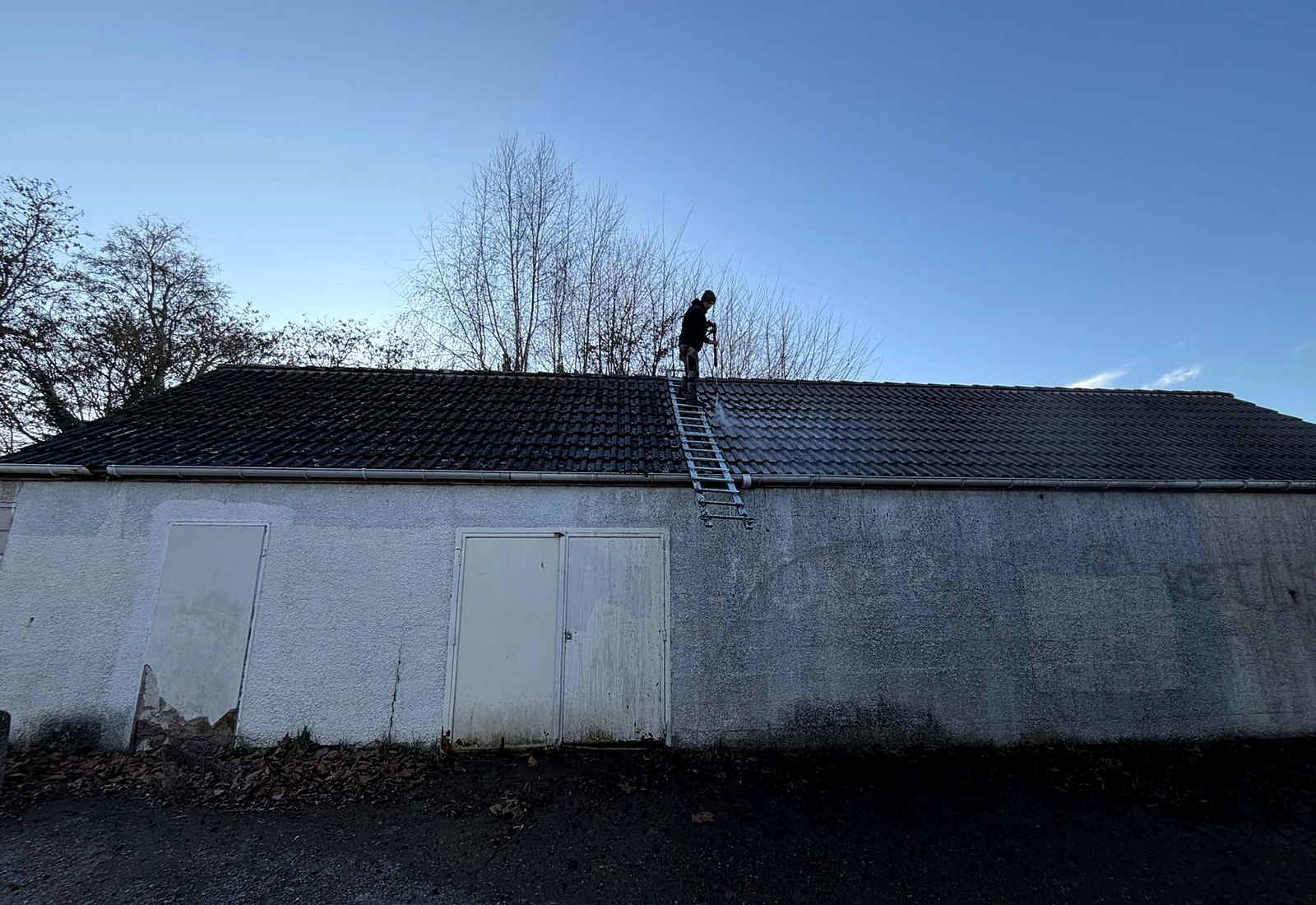 Démoussage d’une toiture en cours à Rennes